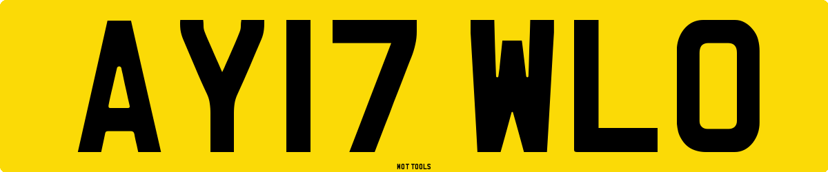 AY17WLO MOT Check