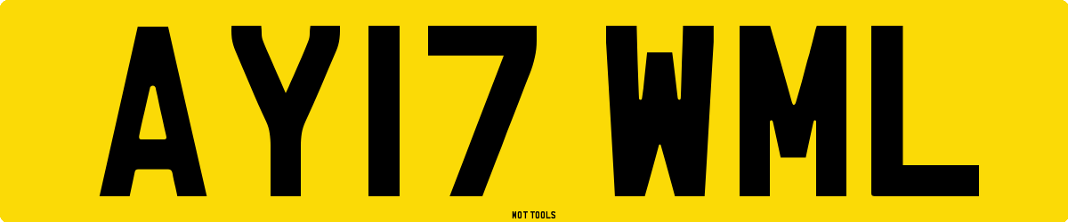 AY17WML MOT Check