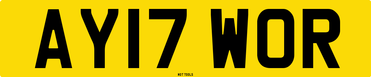 AY17WOR MOT Check