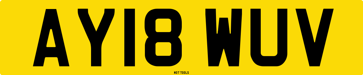 AY18WUV MOT Check