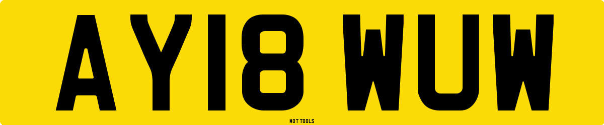 AY18WUW MOT Check