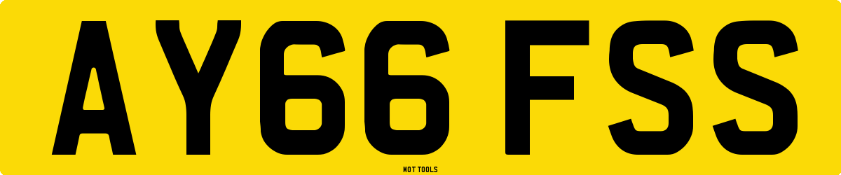AY66FSS MOT Check