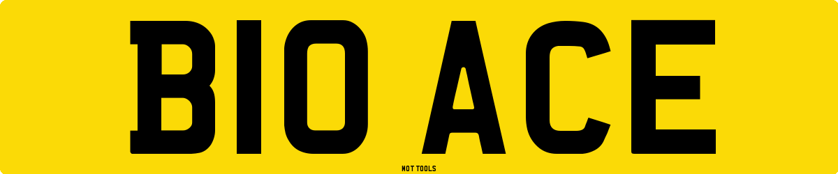 B10ACE MOT Check