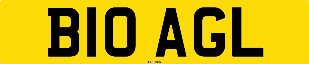 B10AGL MOT Check