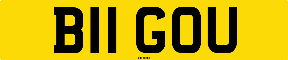 B11GOU MOT Check