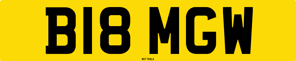 B18MGW MOT Check