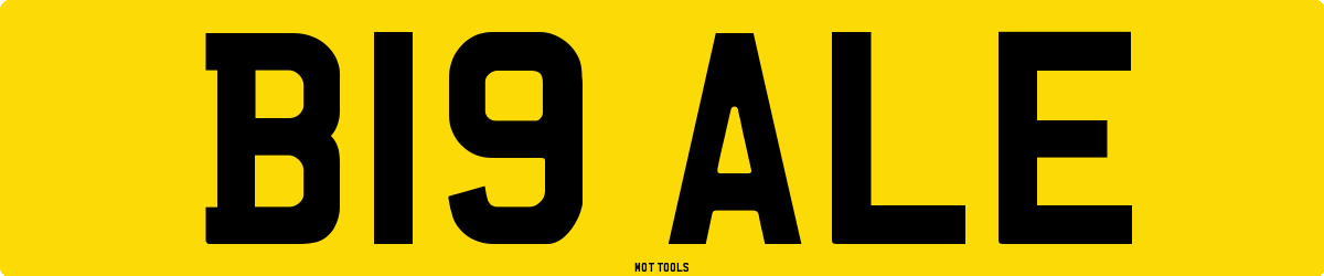 B19ALE MOT Check