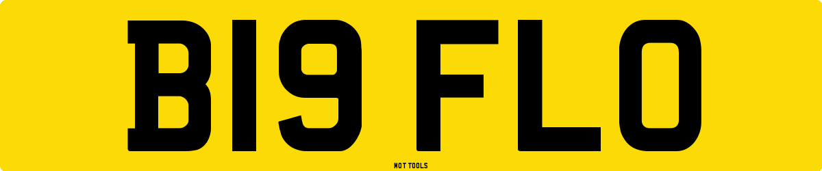 B19FLO MOT Check