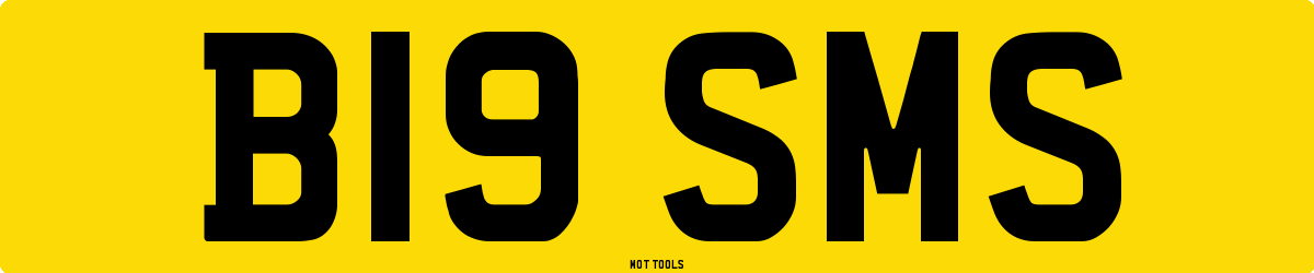 B19SMS MOT Check