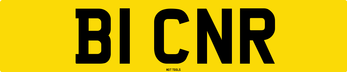 B1CNR MOT Check