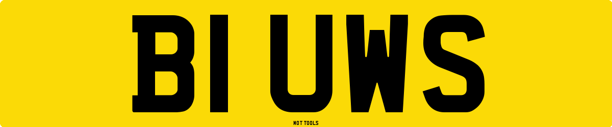 B1UWS MOT Check