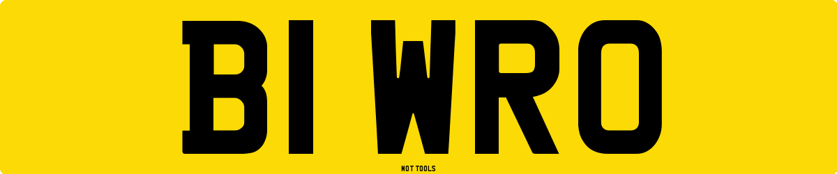 B1WRO MOT Check