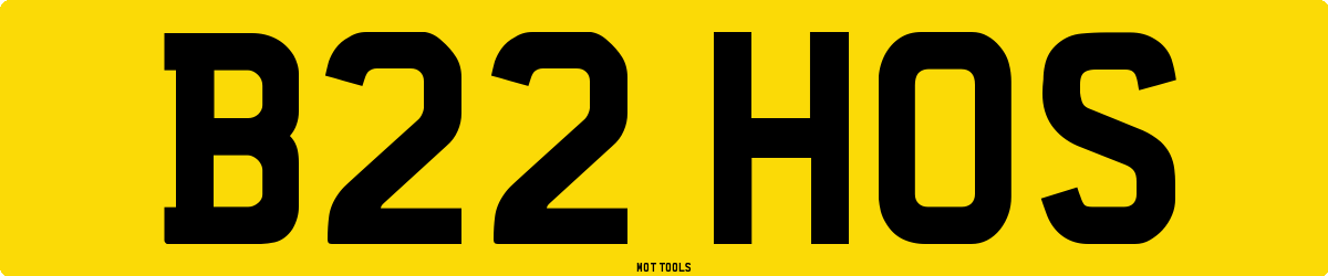 B22HOS MOT Check
