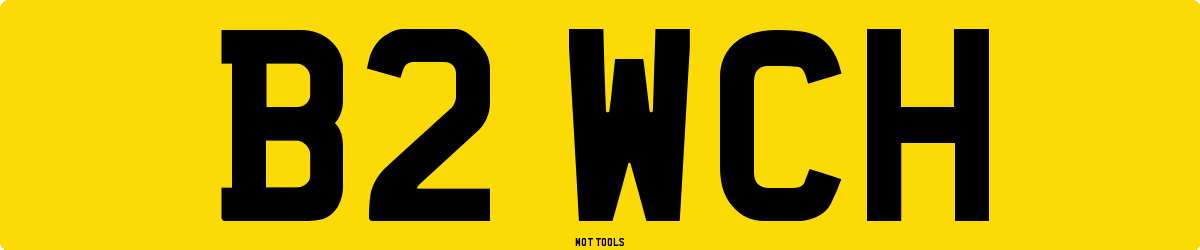 B2WCH MOT Check
