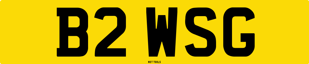B2WSG MOT Check