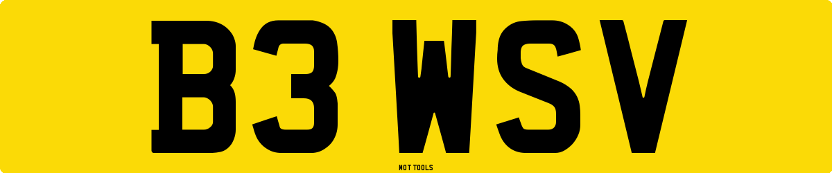 B3WSV MOT Check