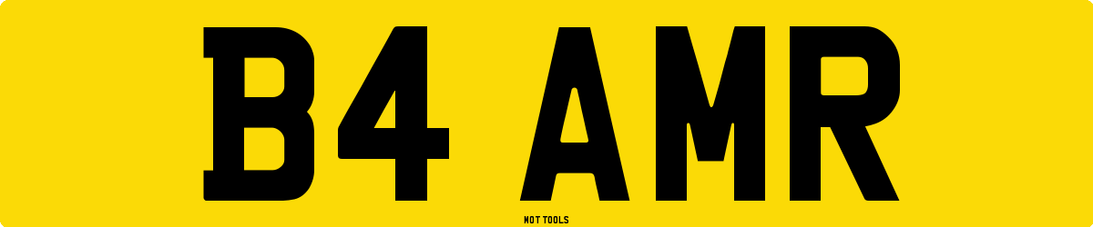 B4AMR MOT Check