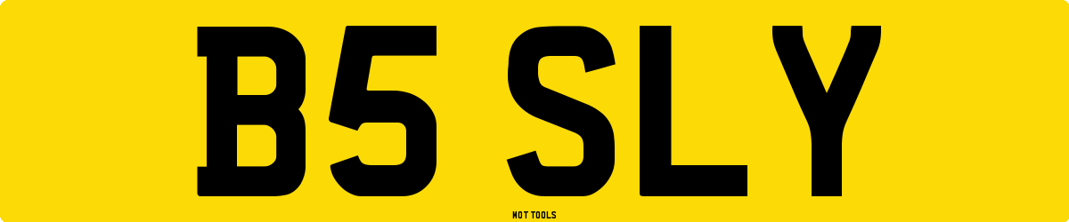 B5SLY MOT Check