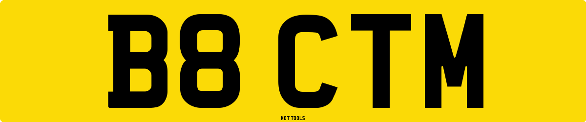 B8CTM MOT Check