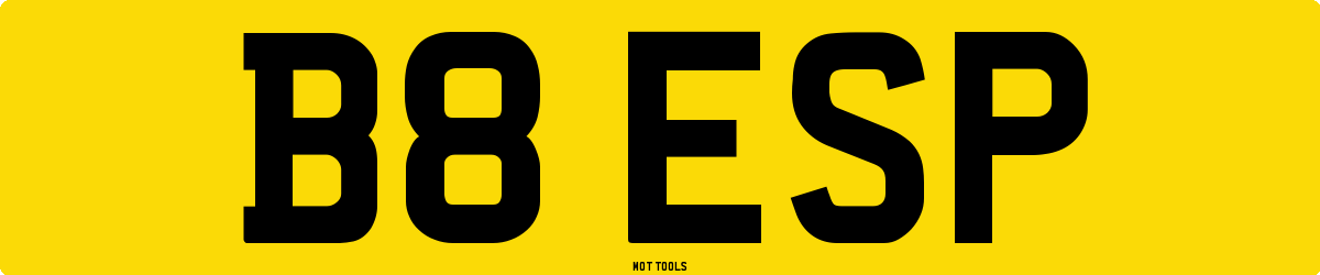 B8ESP MOT Check