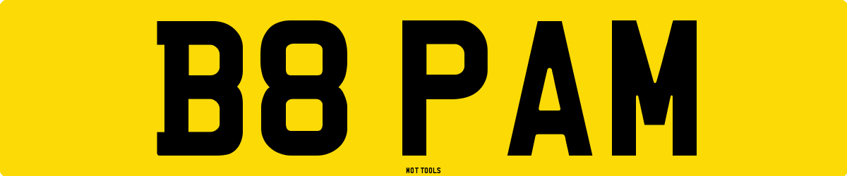 B8PAM MOT Check