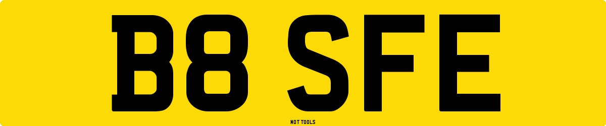 B8SFE MOT Check