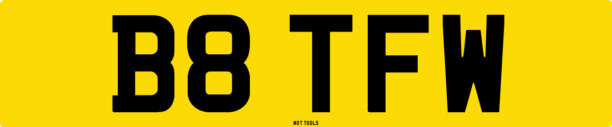 B8TFW MOT Check