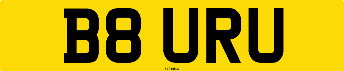 B8URU MOT Check