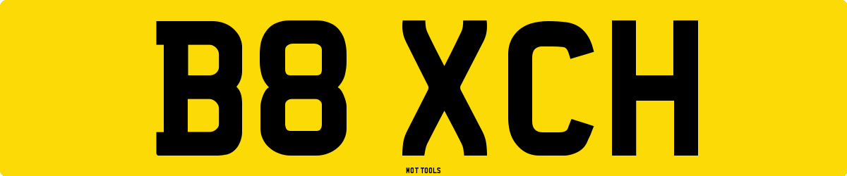 B8XCH MOT Check