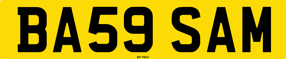 BA59SAM MOT Check
