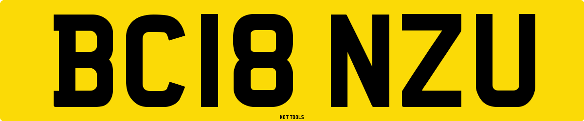 BC18NZU MOT Check