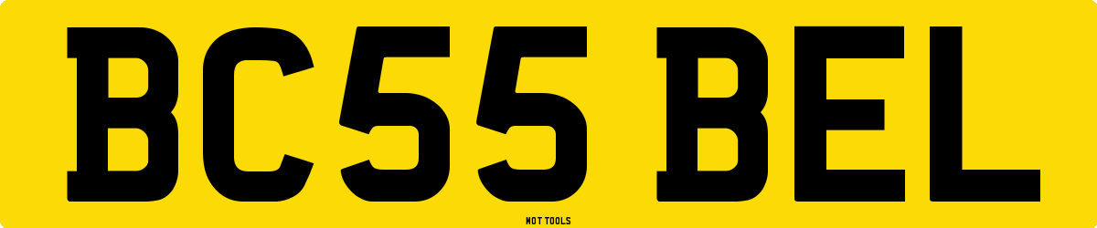 BC55BEL MOT Check