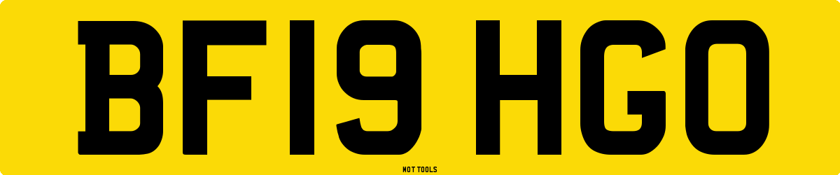 BF19HGO MOT Check
