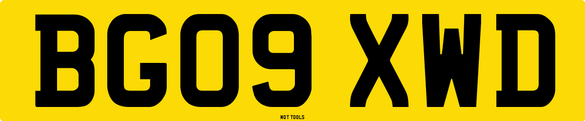 BG09XWD MOT Check