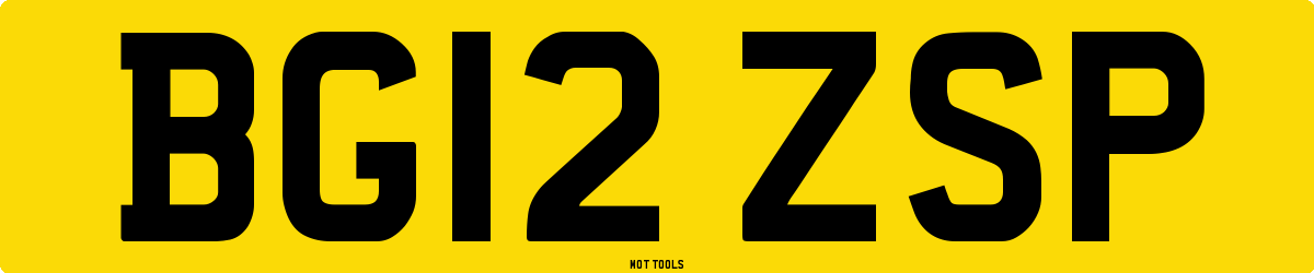 BG12ZSP MOT Check