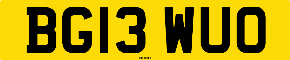 BG13WUO MOT Check