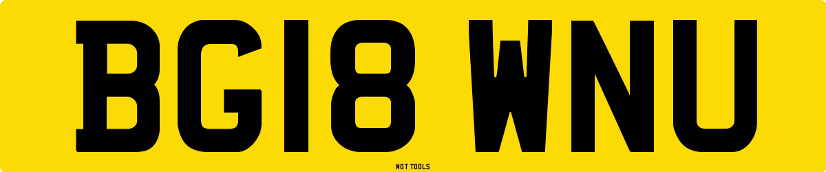 BG18WNU MOT Check
