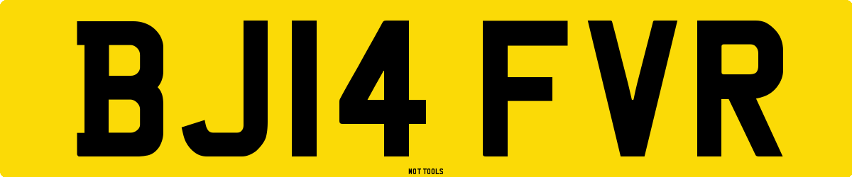 BJ14FVR MOT Check