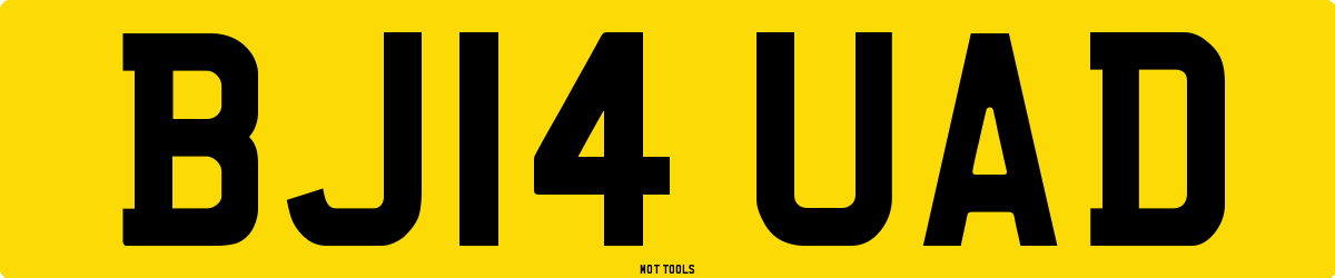 BJ14UAD MOT Check