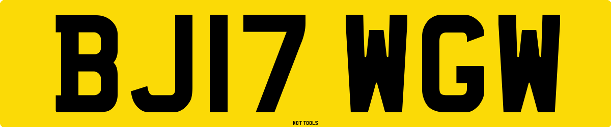 BJ17WGW MOT Check