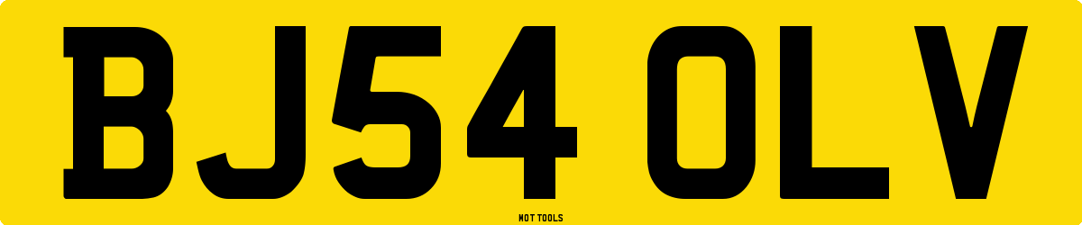 BJ54OLV MOT Check