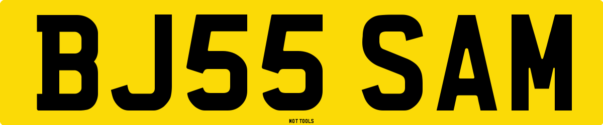 BJ55SAM MOT Check