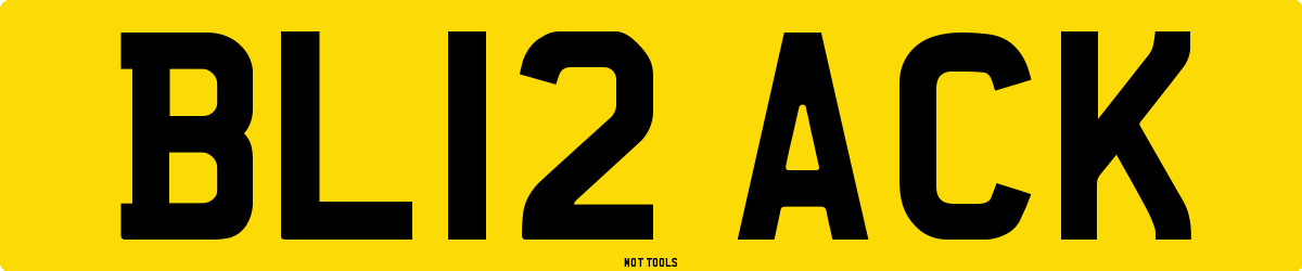 BL12ACK MOT Check