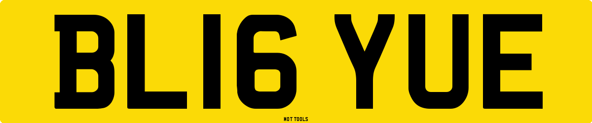 BL16YUE MOT Check