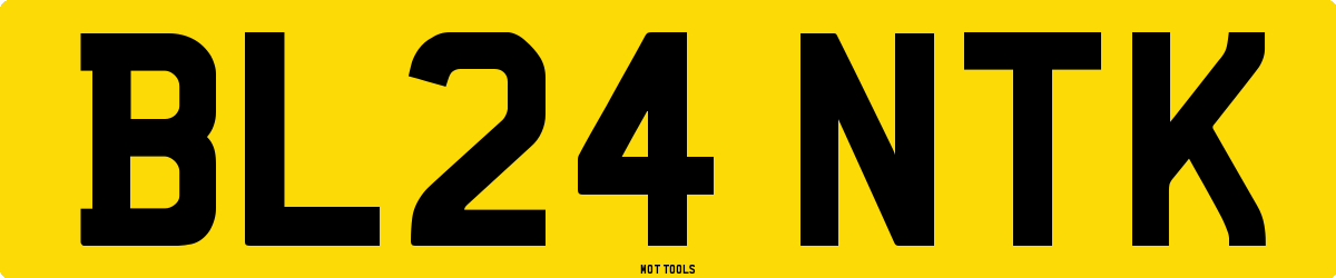 BL24NTK MOT Check
