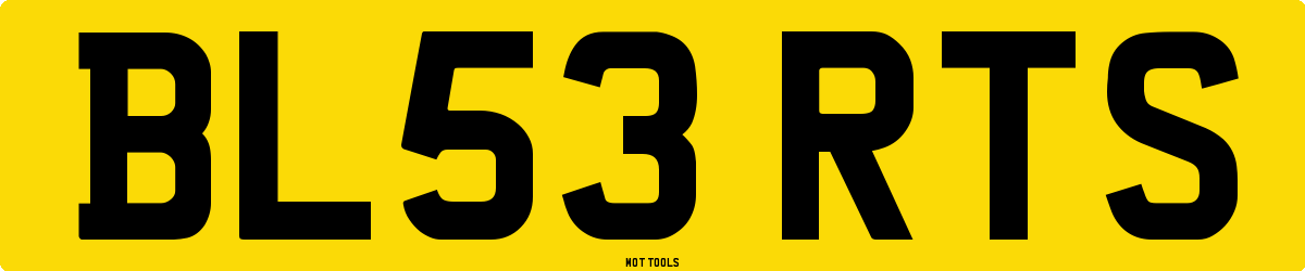 BL53RTS MOT Check