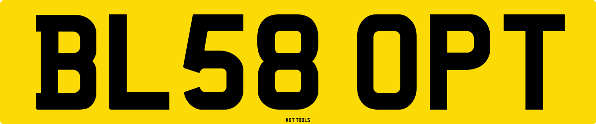 BL58OPT MOT Check