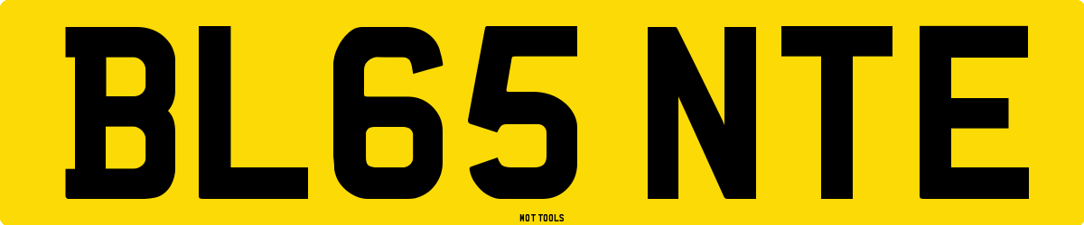 BL65NTE MOT Check