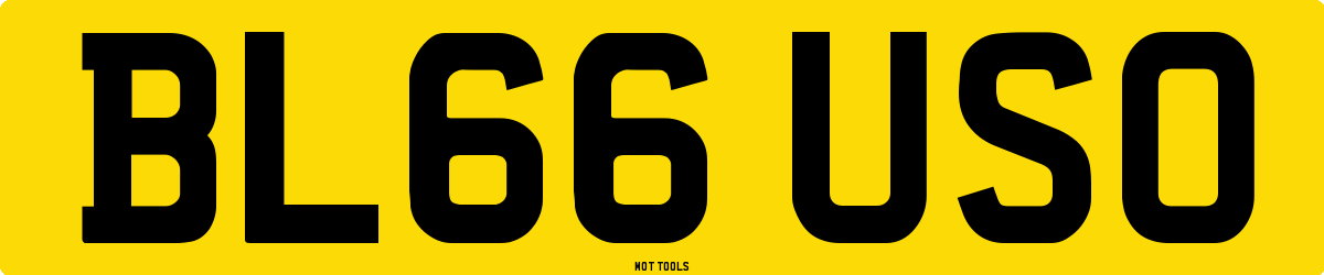 BL66USO MOT Check