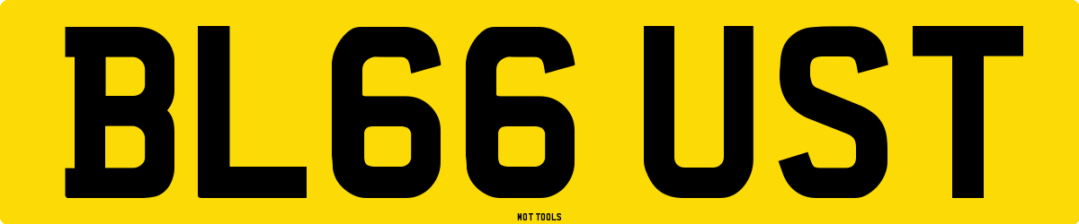 BL66UST MOT Check
